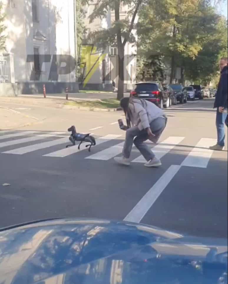 У Дніпрі вперше помітили робо-пса