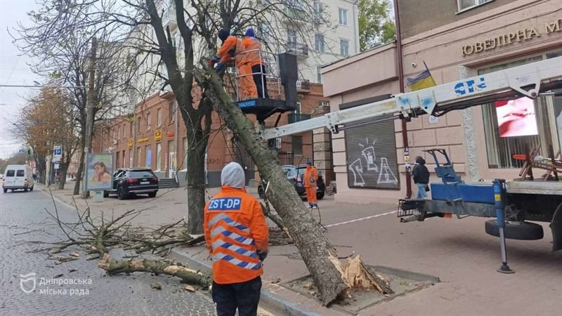 Валив дерева, зупинки та бігборди: які наслідки сильного вітру для міста?