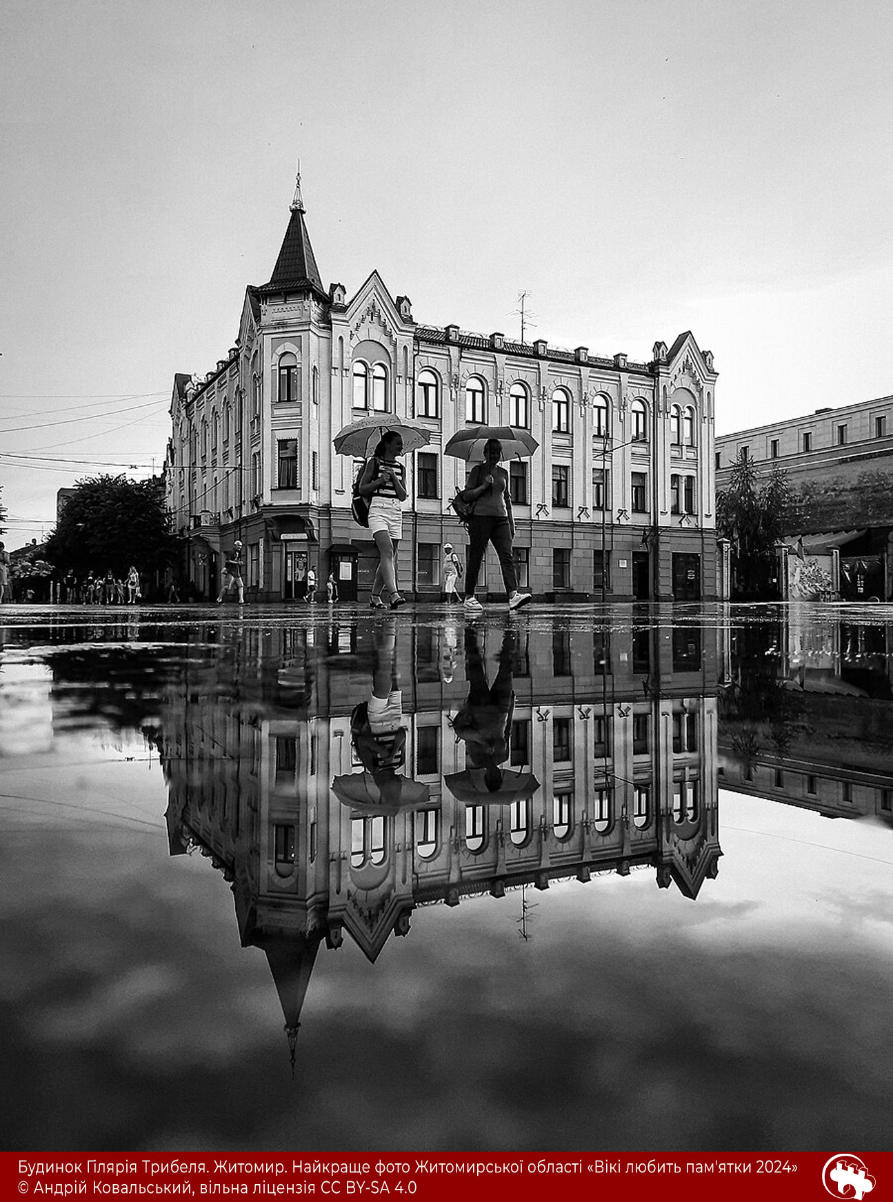 Визначили найкраще фото Дніпровщини у міжнародному конкурсі від Вікімедії