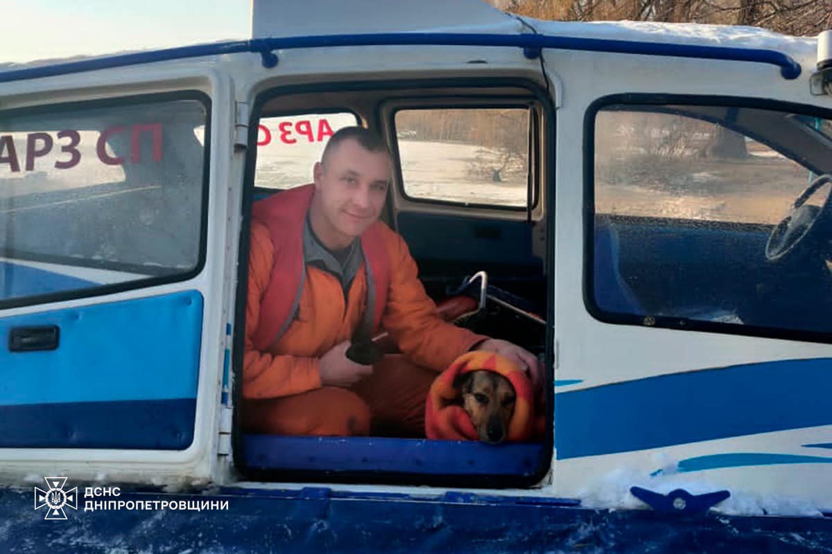 У Дніпрі водолази за допомогою катера врятували песика, який провалився під кригу