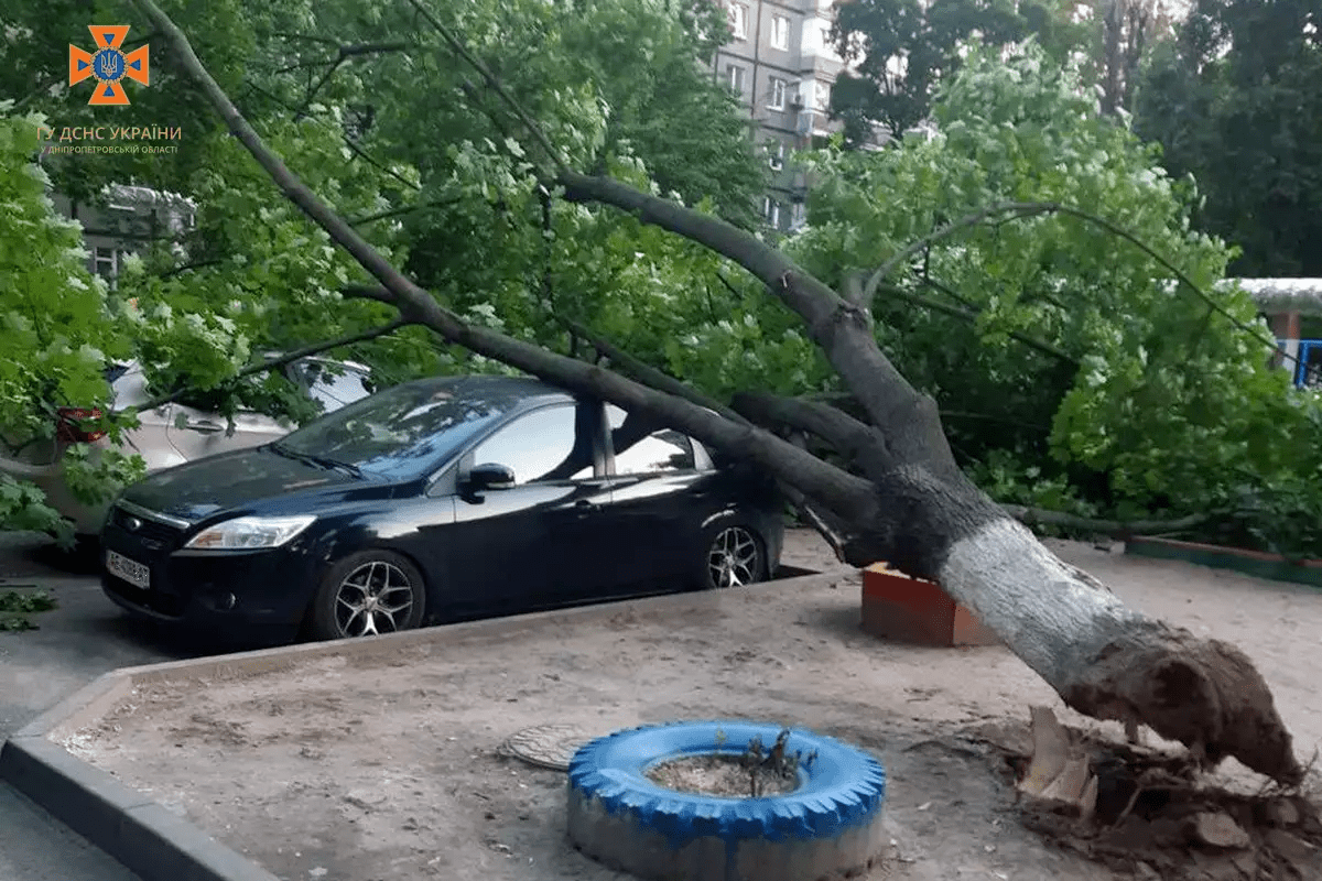 Міськрада Дніпра виплатить майже 1,5 млн грн власникам авто та будівель, на які впали дерева