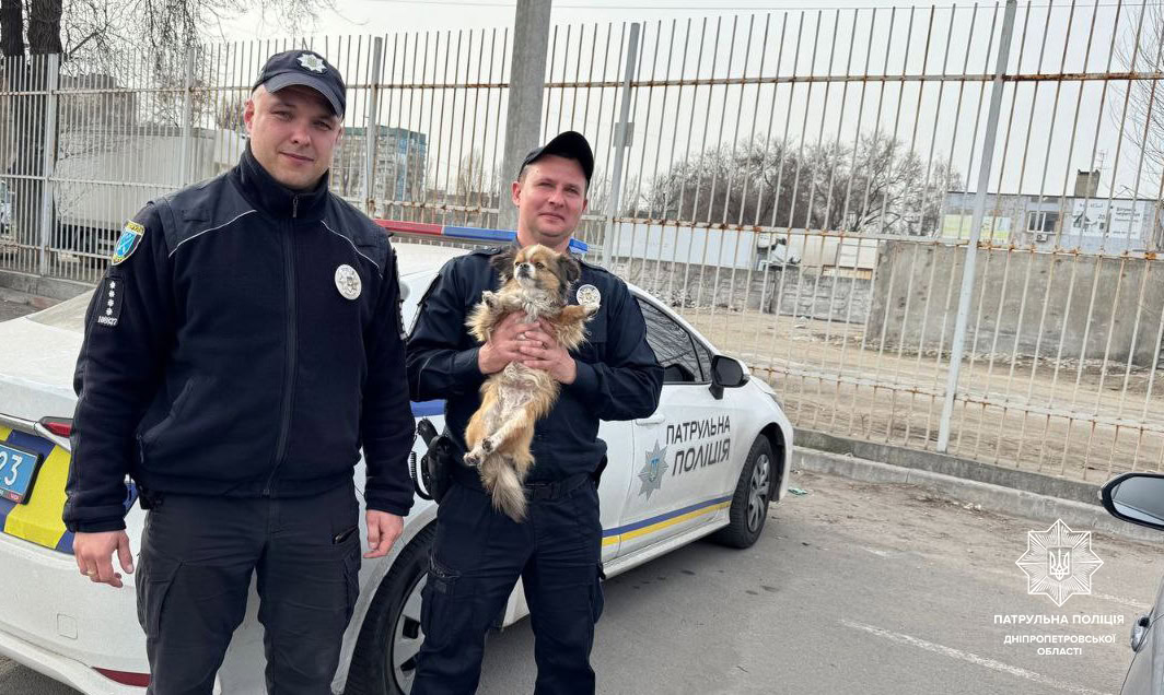 Натисни щоб дізнатись більше про: Патрульні Дніпровщини розшукують господаря песика, який загубився