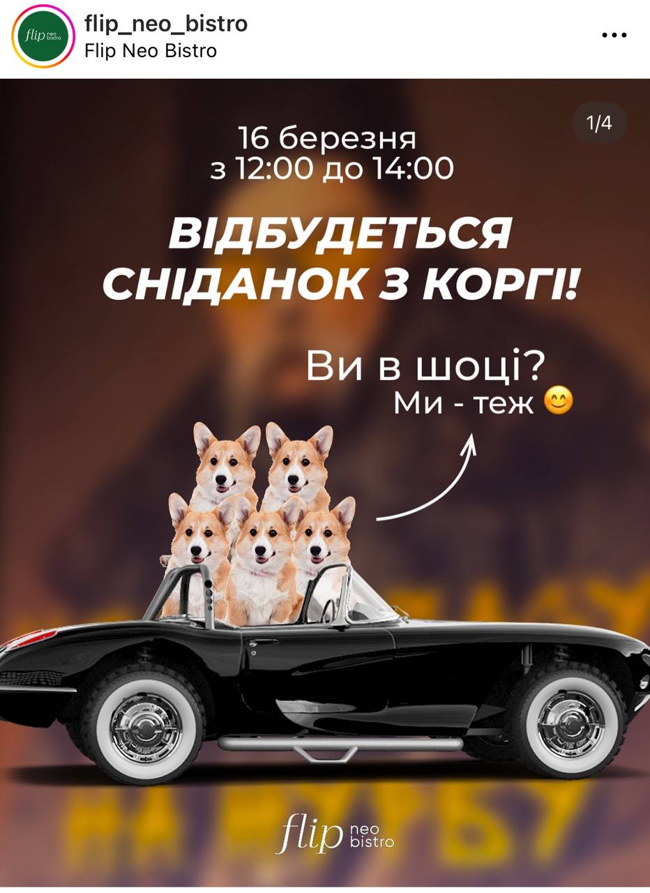 У Дніпрі влаштують сніданок із коргі
