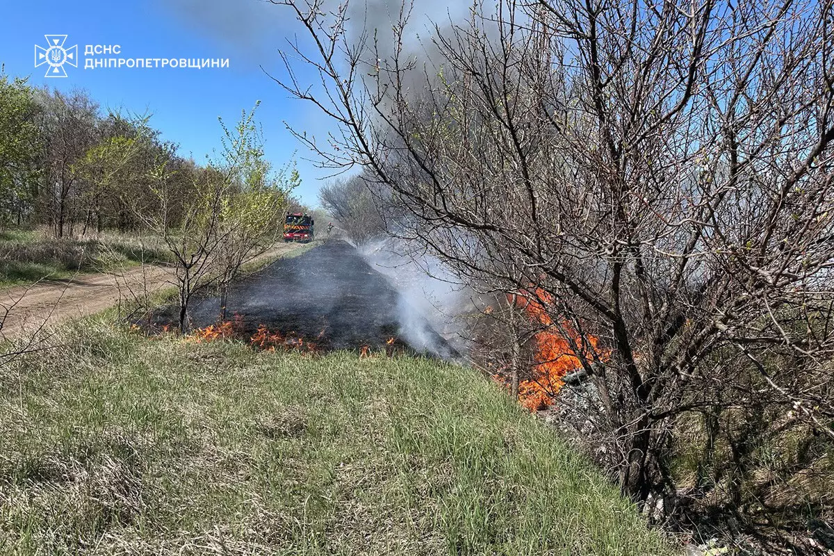 На Дніпровщині за добу вогонь знищив понад 19 гектарів територій