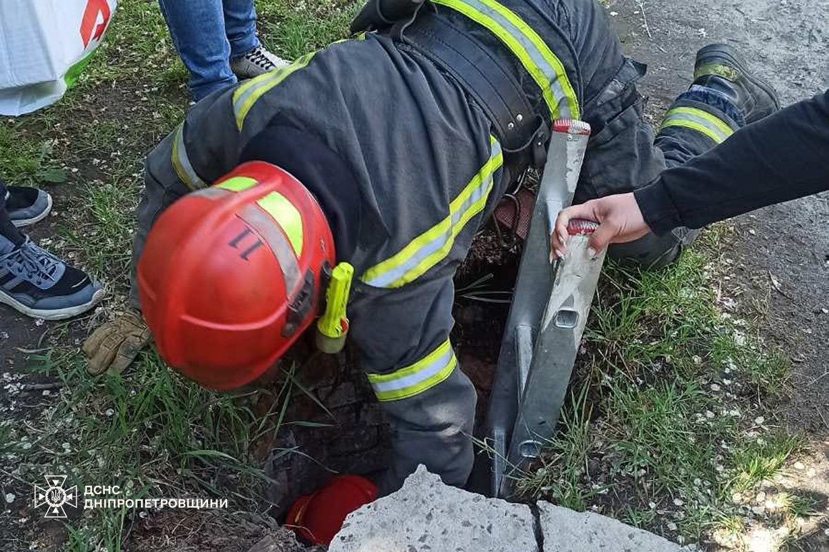 На Дніпровщині з колодязя врятували песика