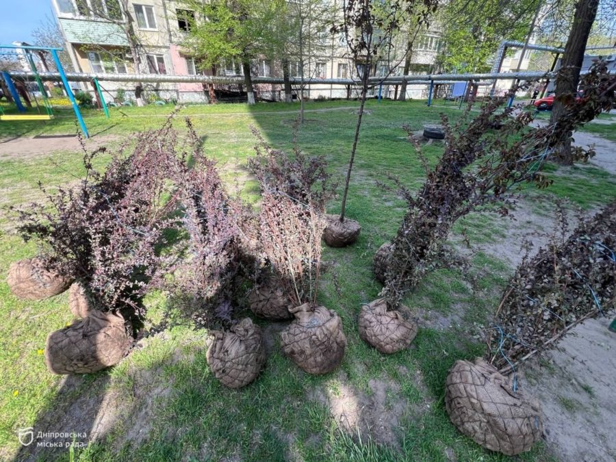 Натисни щоб дізнатись більше про: У Дніпрі на вулиці Інженерній планують висадити нові дерева, кущі та трави