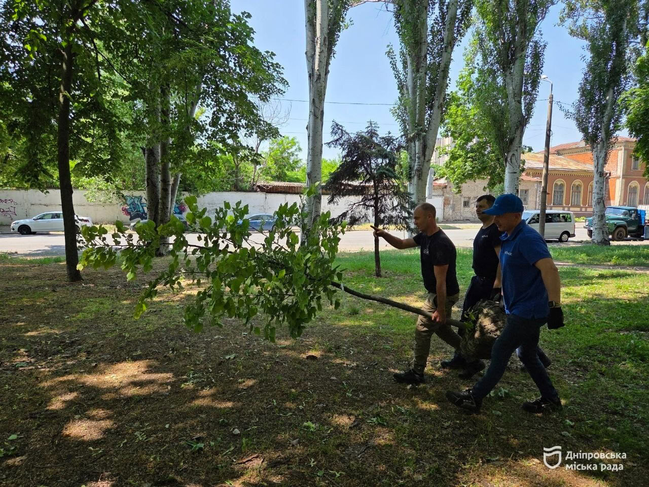 У Дніпрі неподалік вулиці Ярослава Мудрого висадили молоді липи
