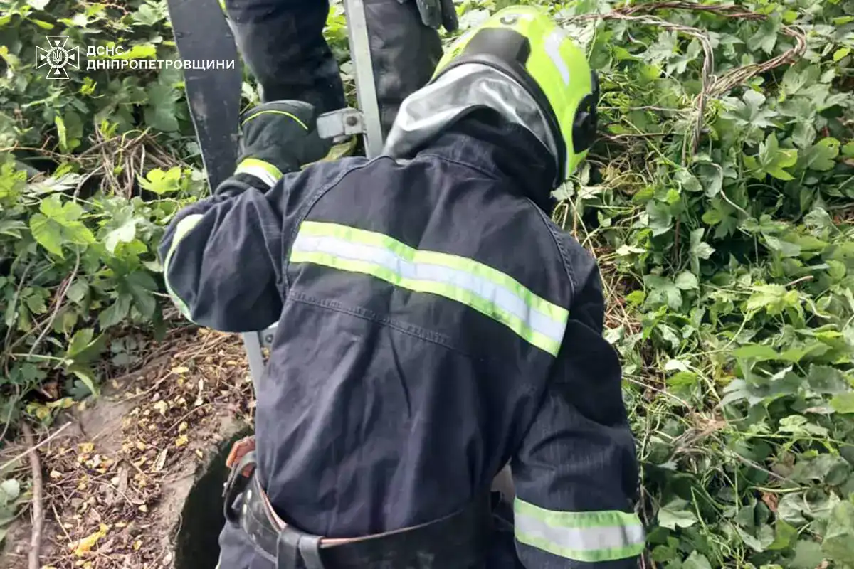 У Кам’янському рятувальники дістали песика з відкритого колодязя