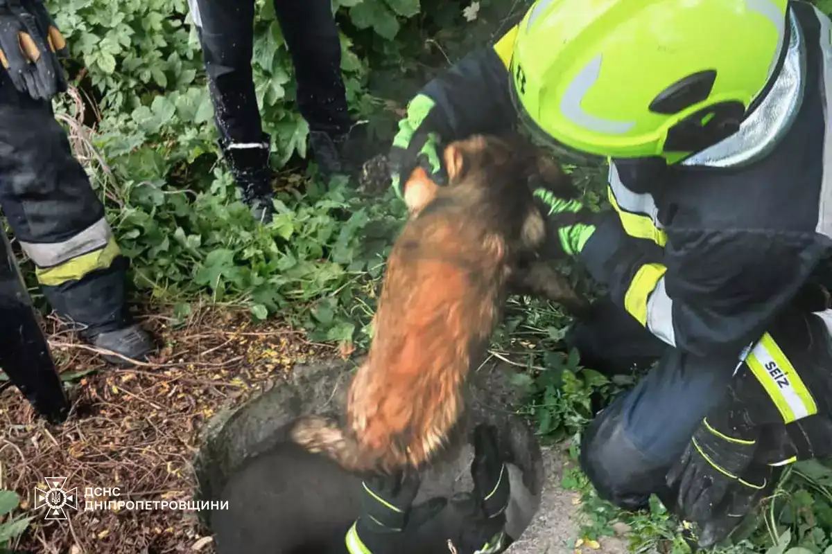 У Кам’янському рятувальники дістали песика з відкритого колодязя