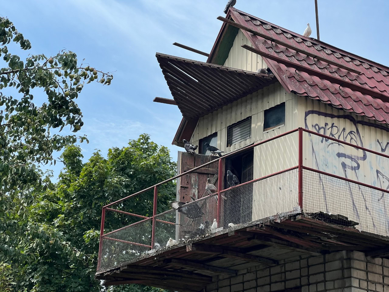Дніпрянин зібрав колекцію світлин з понад 20 голубників міста