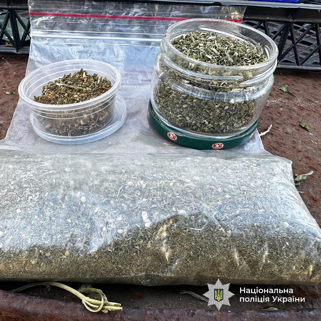 Пів мільйона доларів на кокаїні: у Дніпрі та інших містах затримали наркоділків