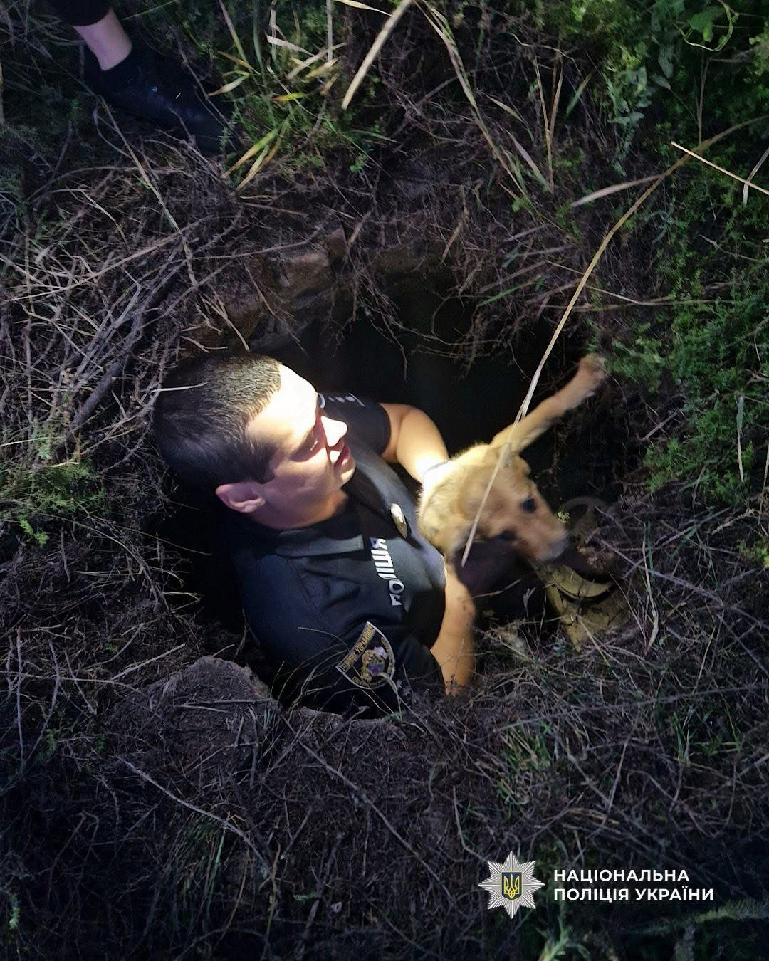 На Дніпровщині поліцейський врятував цуценят, які впали у люк