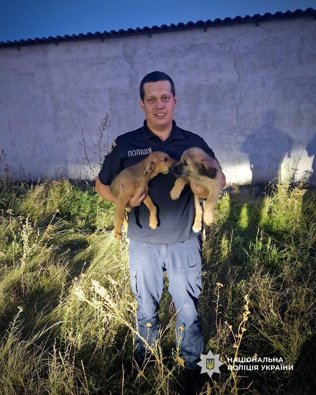 На Дніпровщині поліцейський врятував цуценят, які впали у люк