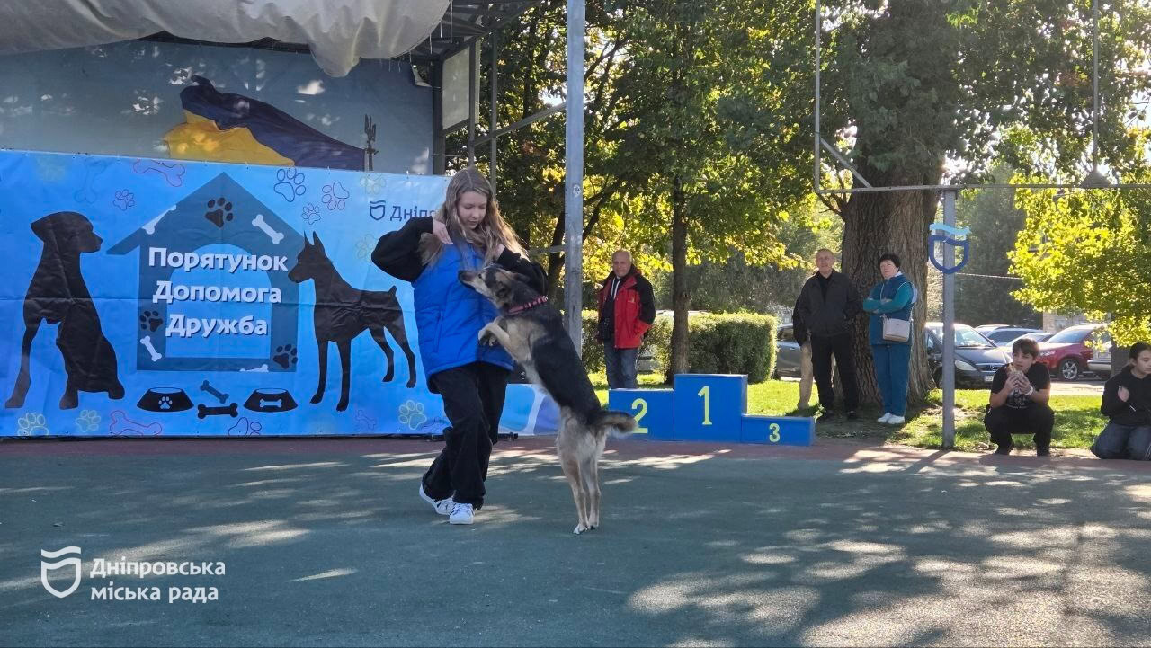 У Дніпрі відбувся кінологічний фестиваль, який зібрав понад 300 містян з песиками