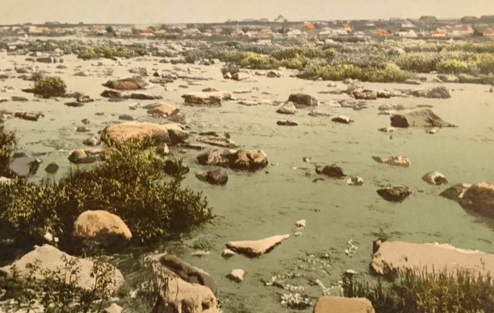 У Дніпрі презентували подкаст про пороги, які символічні для нашого регіону