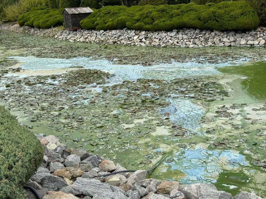 Міська рада Дніпра хоче знести дамби, причали та містки яхт-клубу