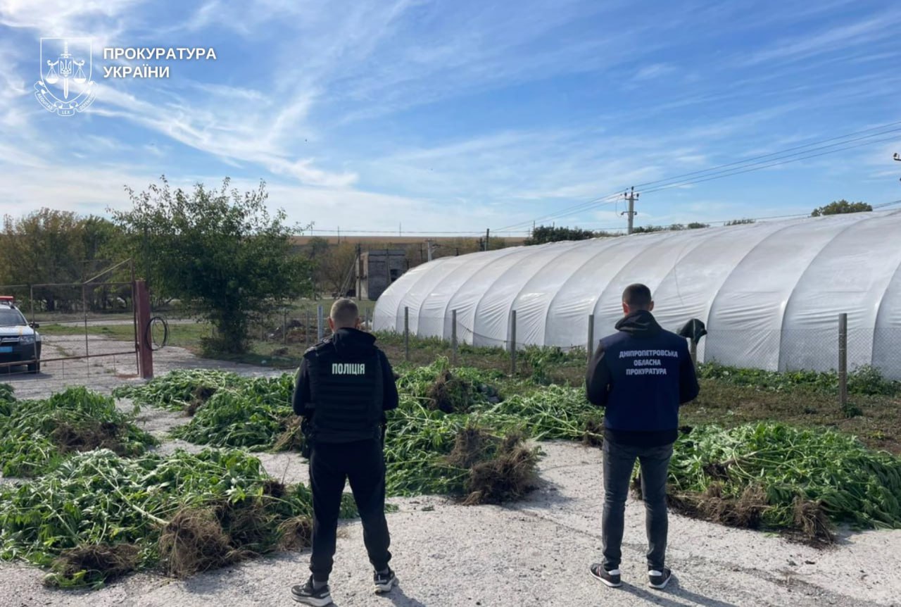 Коноплі замість овочів: на Дніпровщині викрили співмешканців із «врожаєм» на 7 млн