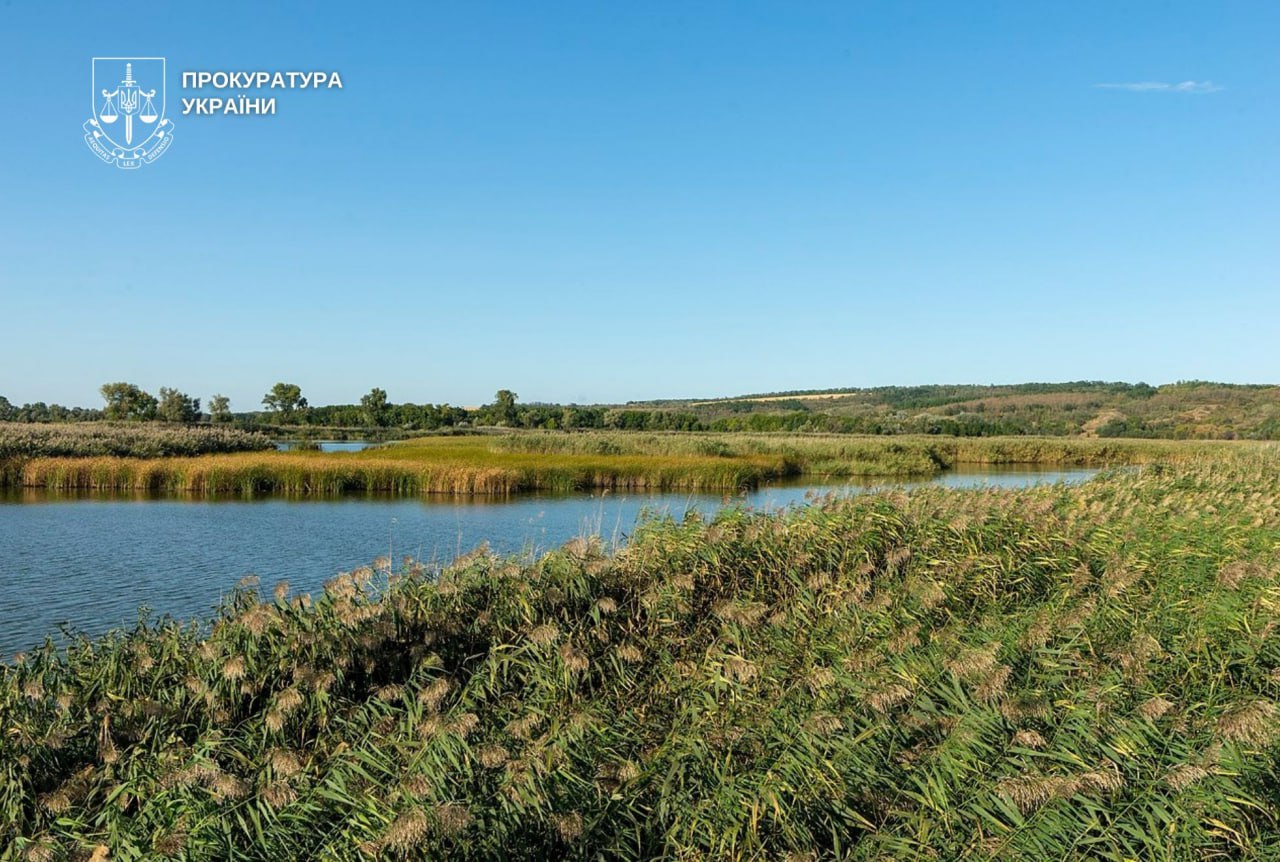 На Дніпровщині судитимуть експосадовця лісгоспу через незаконну вирубку лісу на 6,9 млн грн