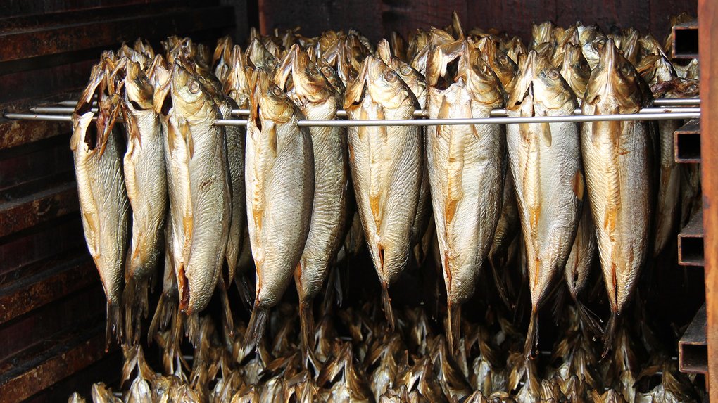 Ботулізм – інфекція, яку легше попередити, ніж вилікувати. Як це зробити? Пояснює лікарка