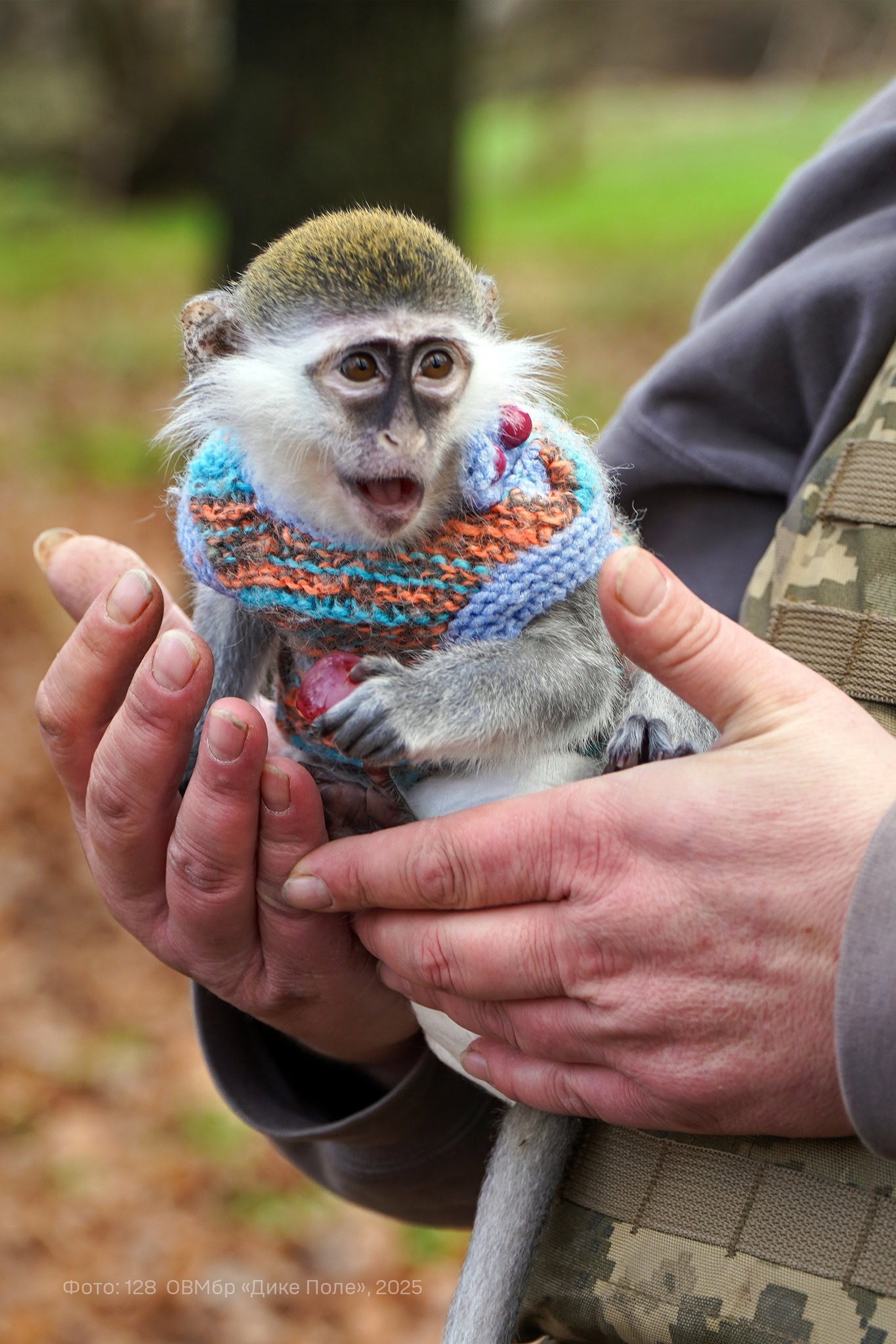 Зірка бригади «Дике Поле»: історія мавпочки Зіни та її господаря