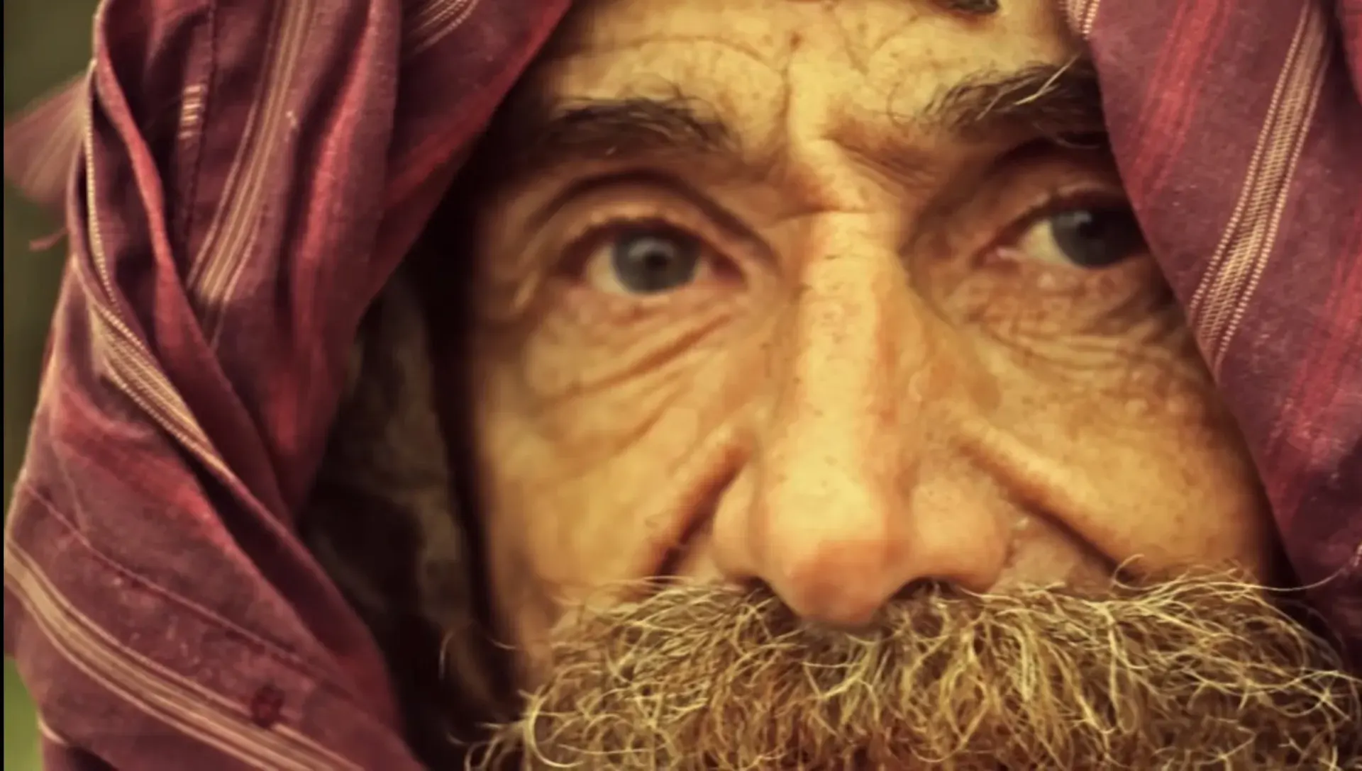 У пам’ять про бігуна: в Дніпрі з’явиться мініскульптура  міського «Фореста Гампа»