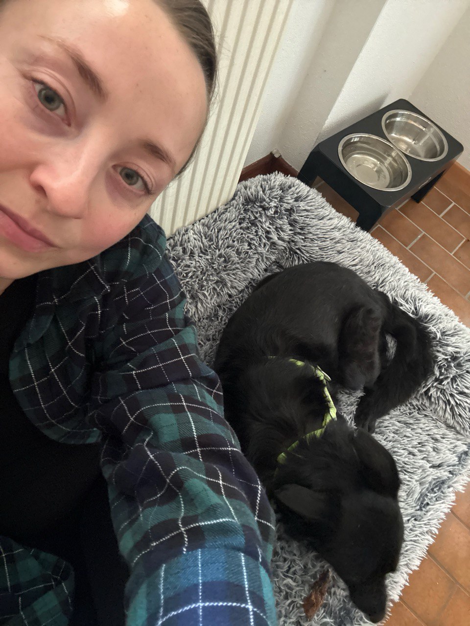 Історія реабілітації Песа: жителька Дніпра забрала за кордон херсонського песика з інвалідністю