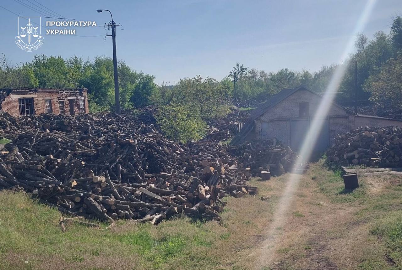 Трьох мешканців Дніпровщини судитимуть за незаконну вирубку лісу на понад 1,3 млн грн