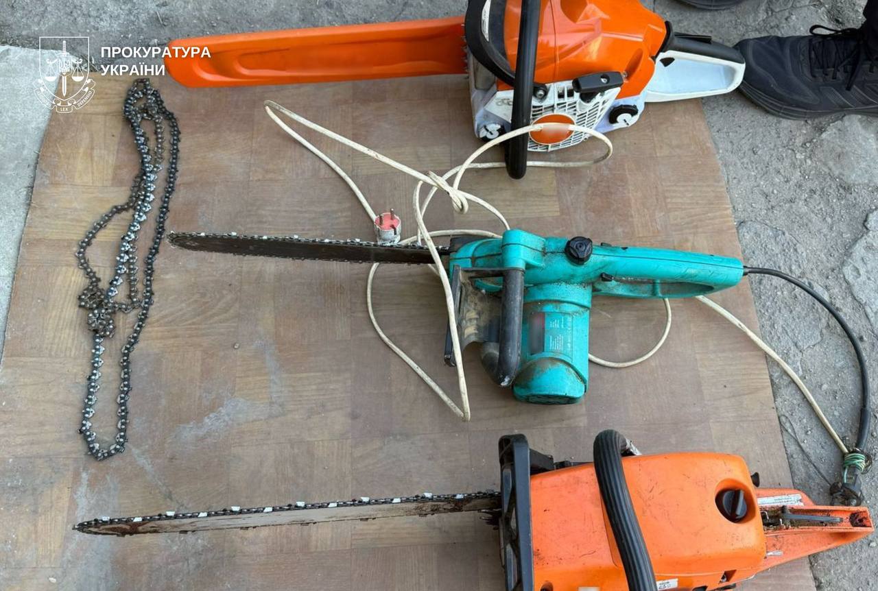 Трьох мешканців Дніпровщини судитимуть за незаконну вирубку лісу на понад 1,3 млн грн