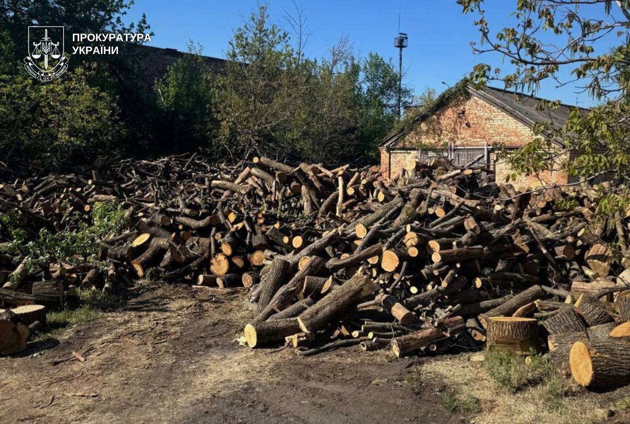 Трьох мешканців Дніпровщини судитимуть за незаконну вирубку лісу на понад 1,3 млн грн