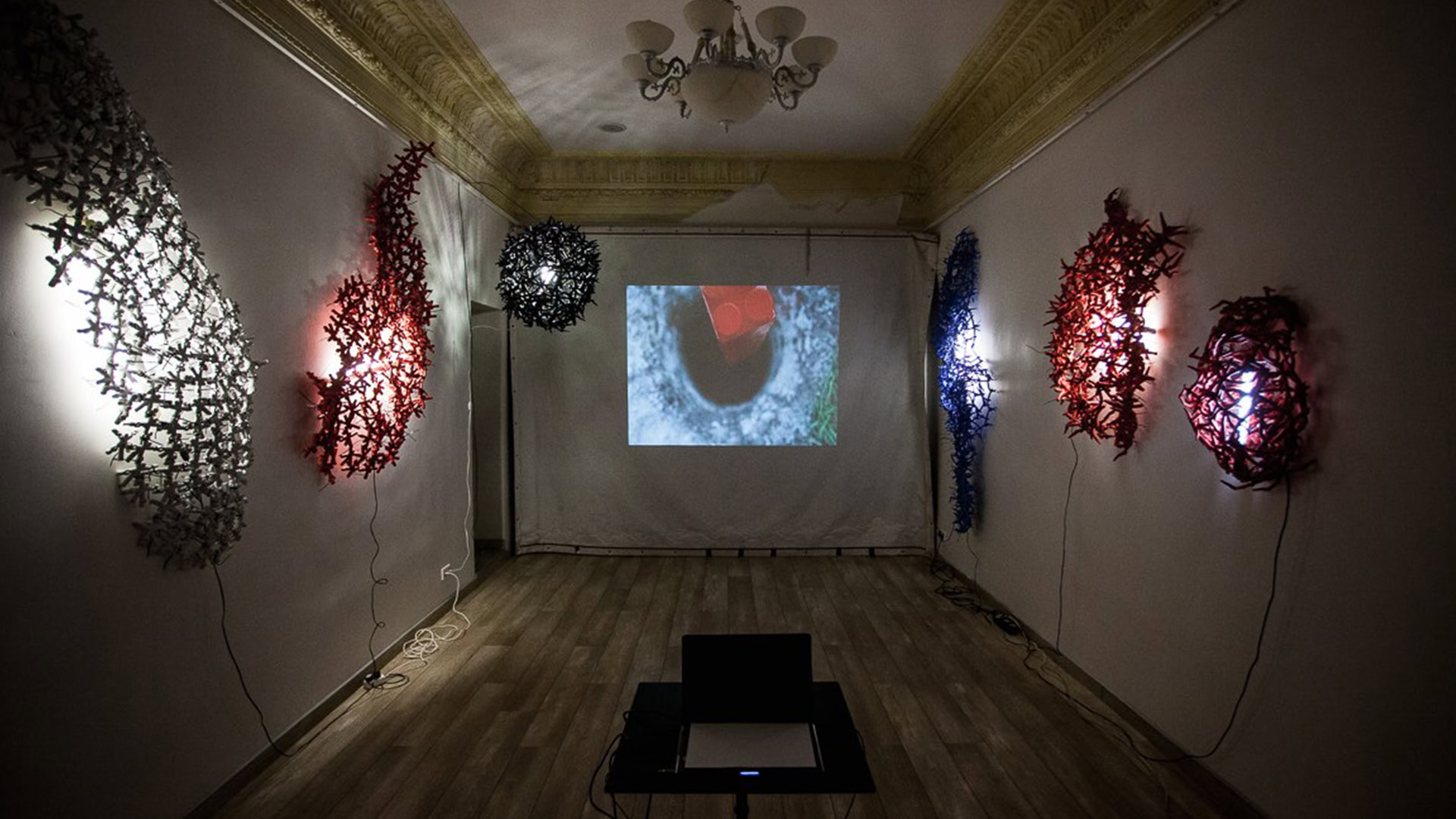 З Дніпра – у світовий топ кінетичного мистецтва: подружжя Кузнєцових