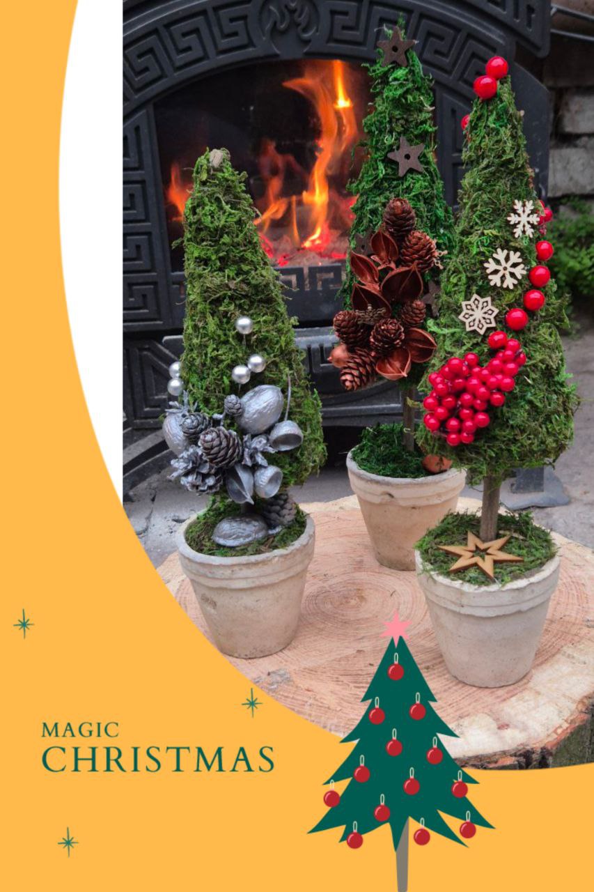 Новорічна магія у Ботсаду Дніпра – майстеркласи, різдвяний ярмарок та тематичні виставки