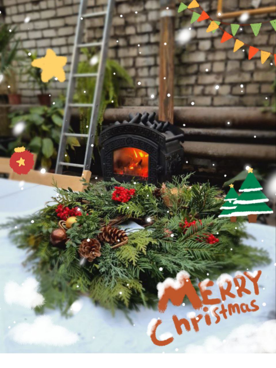 Новорічна магія у Ботсаду Дніпра – майстеркласи, різдвяний ярмарок та тематичні виставки