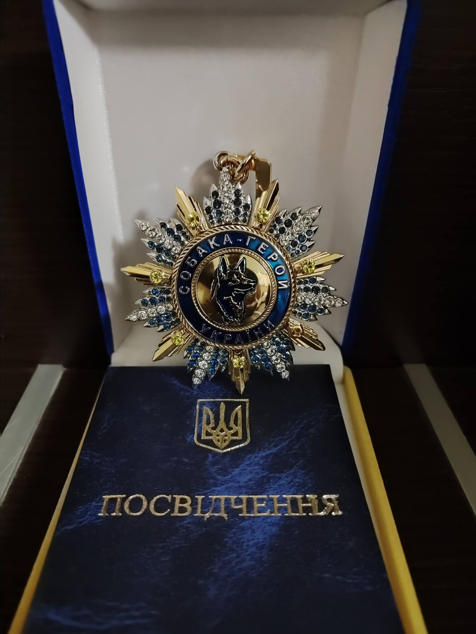 Павлоградська пошуковиця Спаркі отримала нагороду «Собака – герой України»