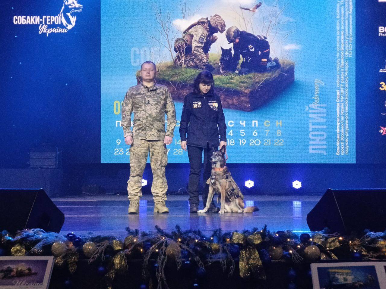 Павлоградська пошуковиця Спаркі отримала нагороду «Собака – герой України»