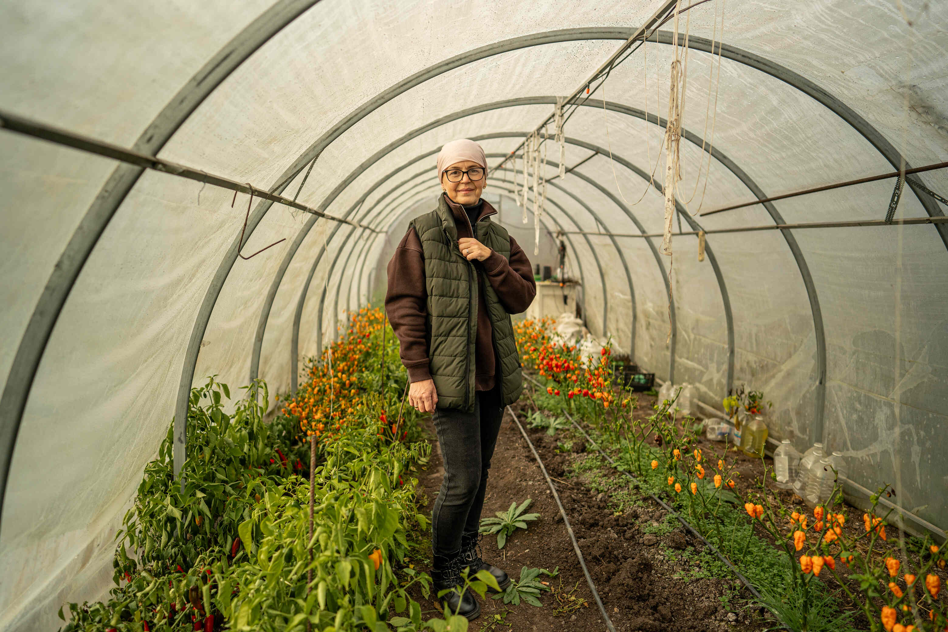 Халапеньйо в «піжамі» та Кароліна Ріпер: криворожанка вирощує перці з Книги рекордів Гіннеса