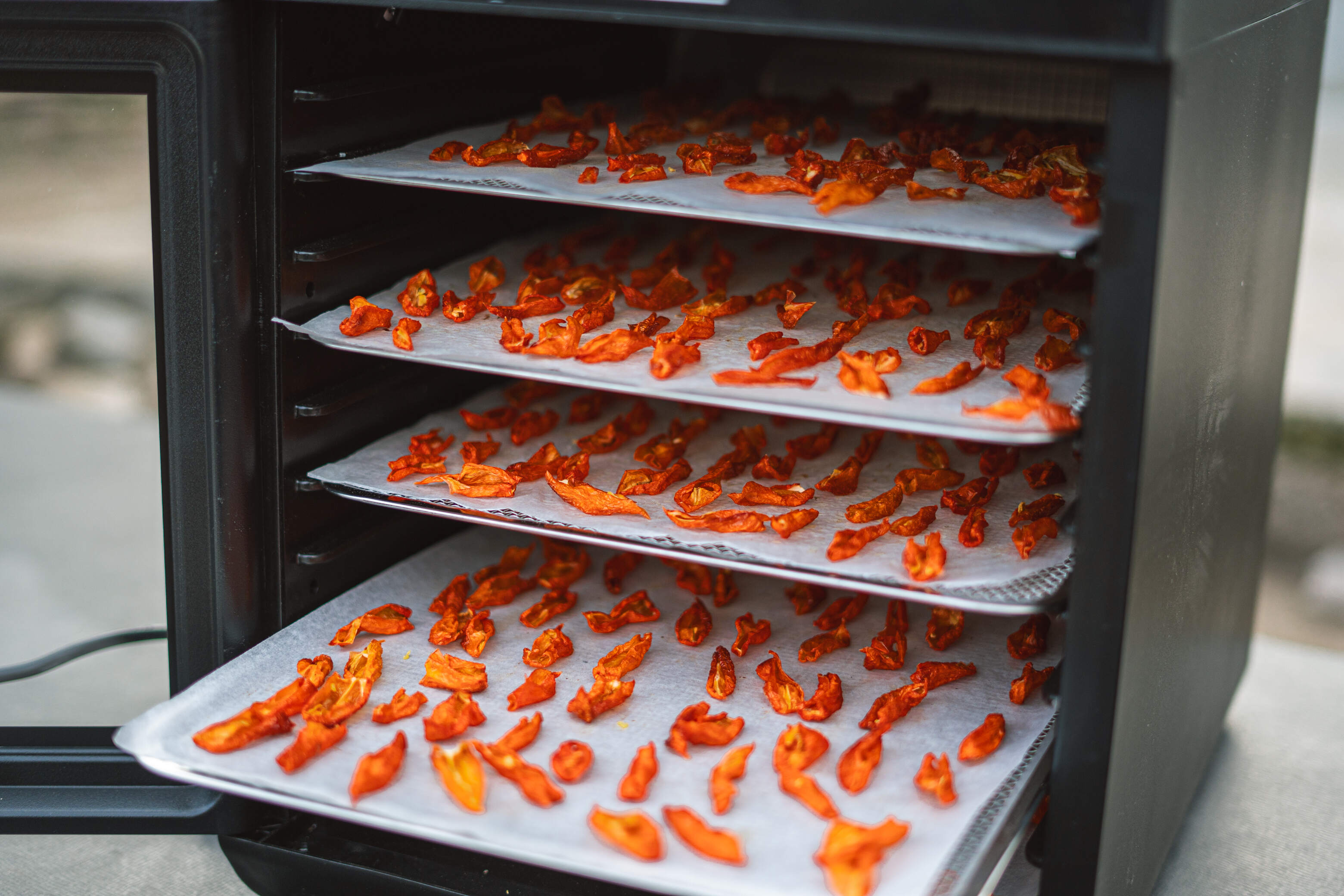 Халапеньйо в «піжамі» та Кароліна Ріпер: криворожанка вирощує перці з Книги рекордів Гіннеса