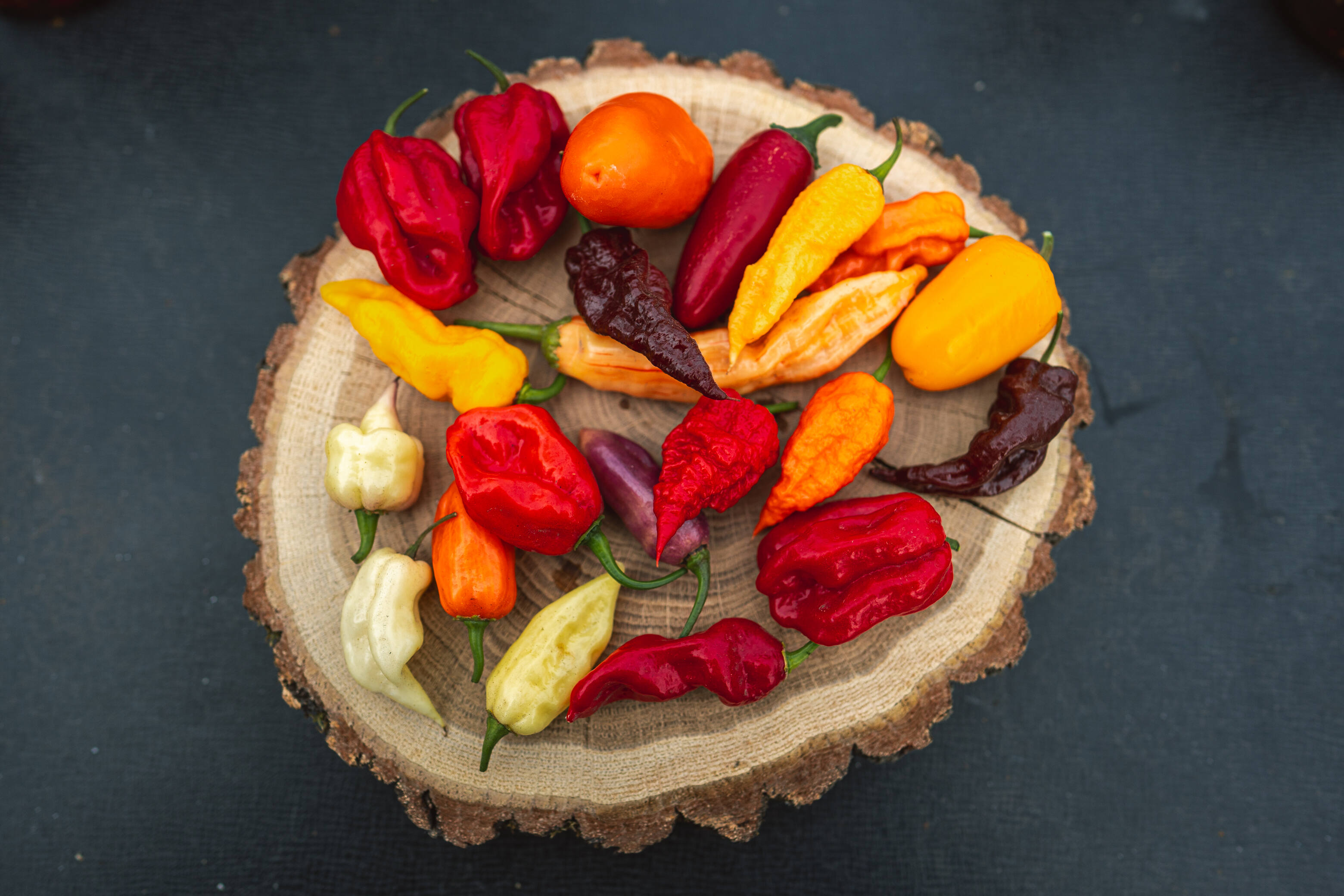 Халапеньйо в «піжамі» та Кароліна Ріпер: криворожанка вирощує перці з Книги рекордів Гіннеса