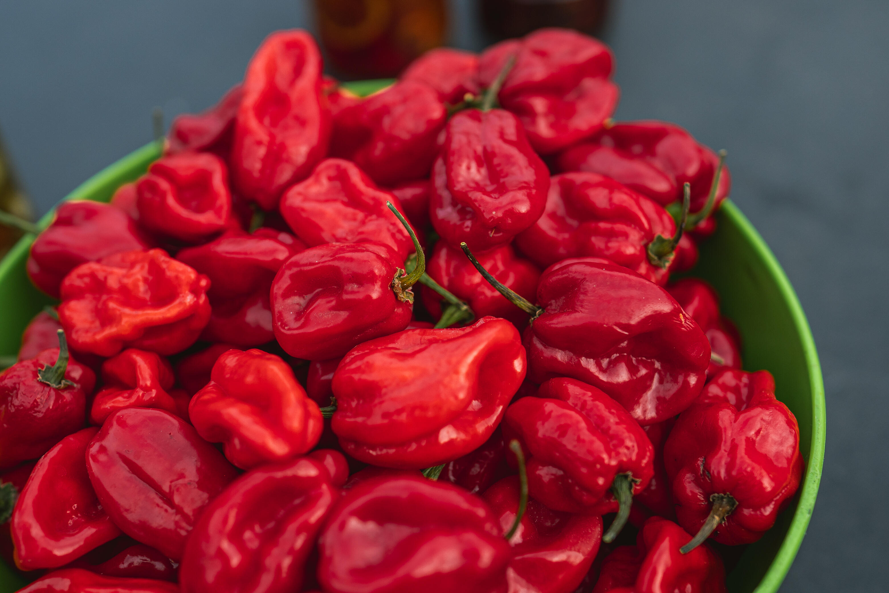 Халапеньйо в «піжамі» та Кароліна Ріпер: криворожанка вирощує перці з Книги рекордів Гіннеса