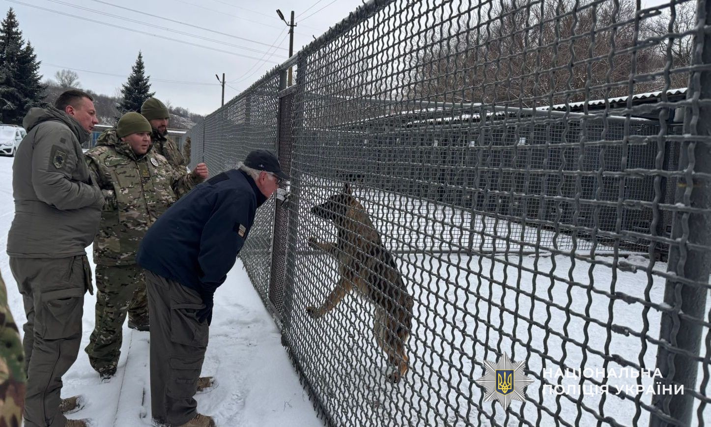 Американський меценат Говард Баффет передав службових собак для поліції Дніпровщини