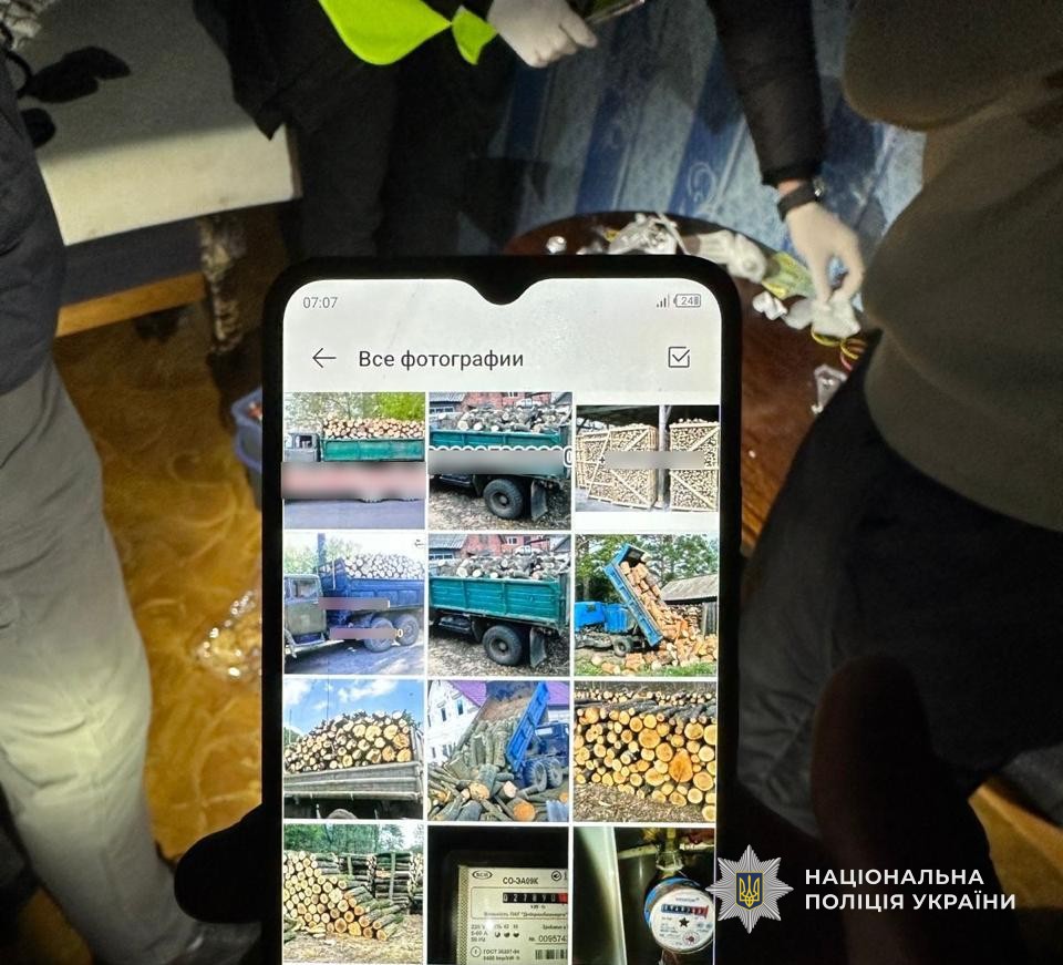 Продавав неіснуючі дрова з-за ґрат: у Кривому Розі викрили шахрайську схему в соцмережах