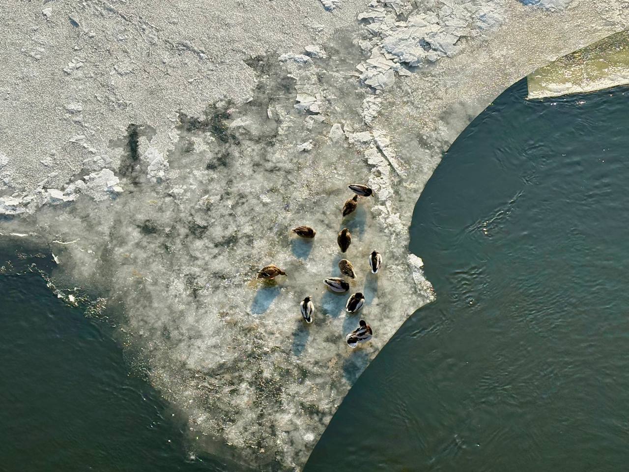 Засніжений Дніпро: зимові пейзажі вулиць міста (ФОТОНОВИНА)