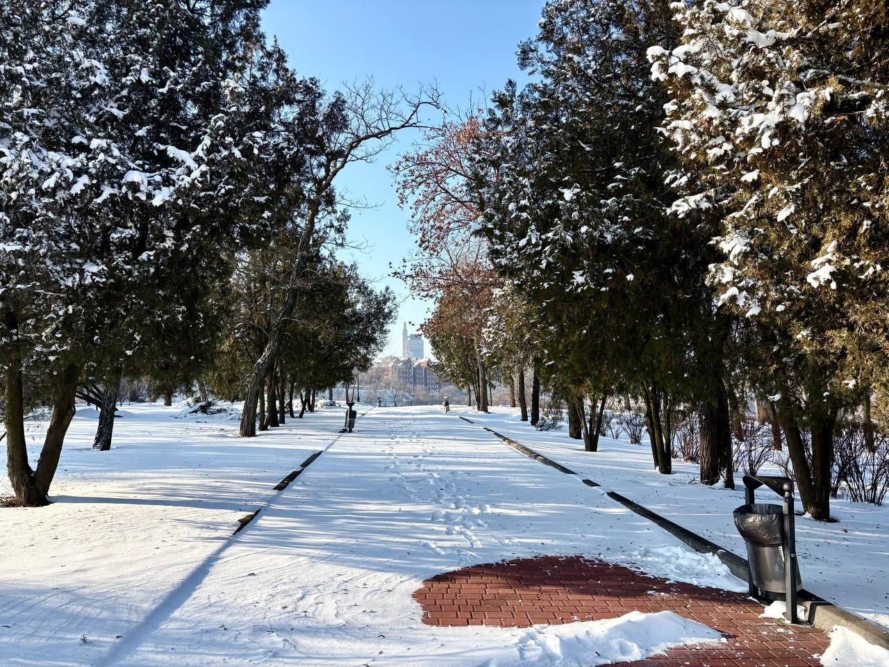 Засніжений Дніпро: зимові пейзажі вулиць міста (ФОТОНОВИНА)