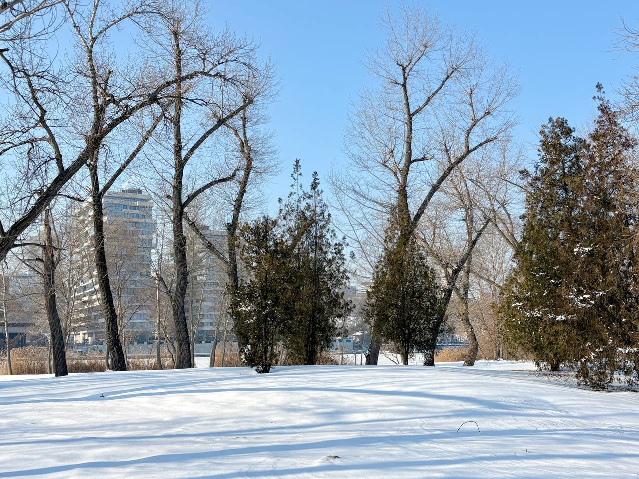 Засніжений Дніпро: зимові пейзажі вулиць міста (ФОТОНОВИНА)