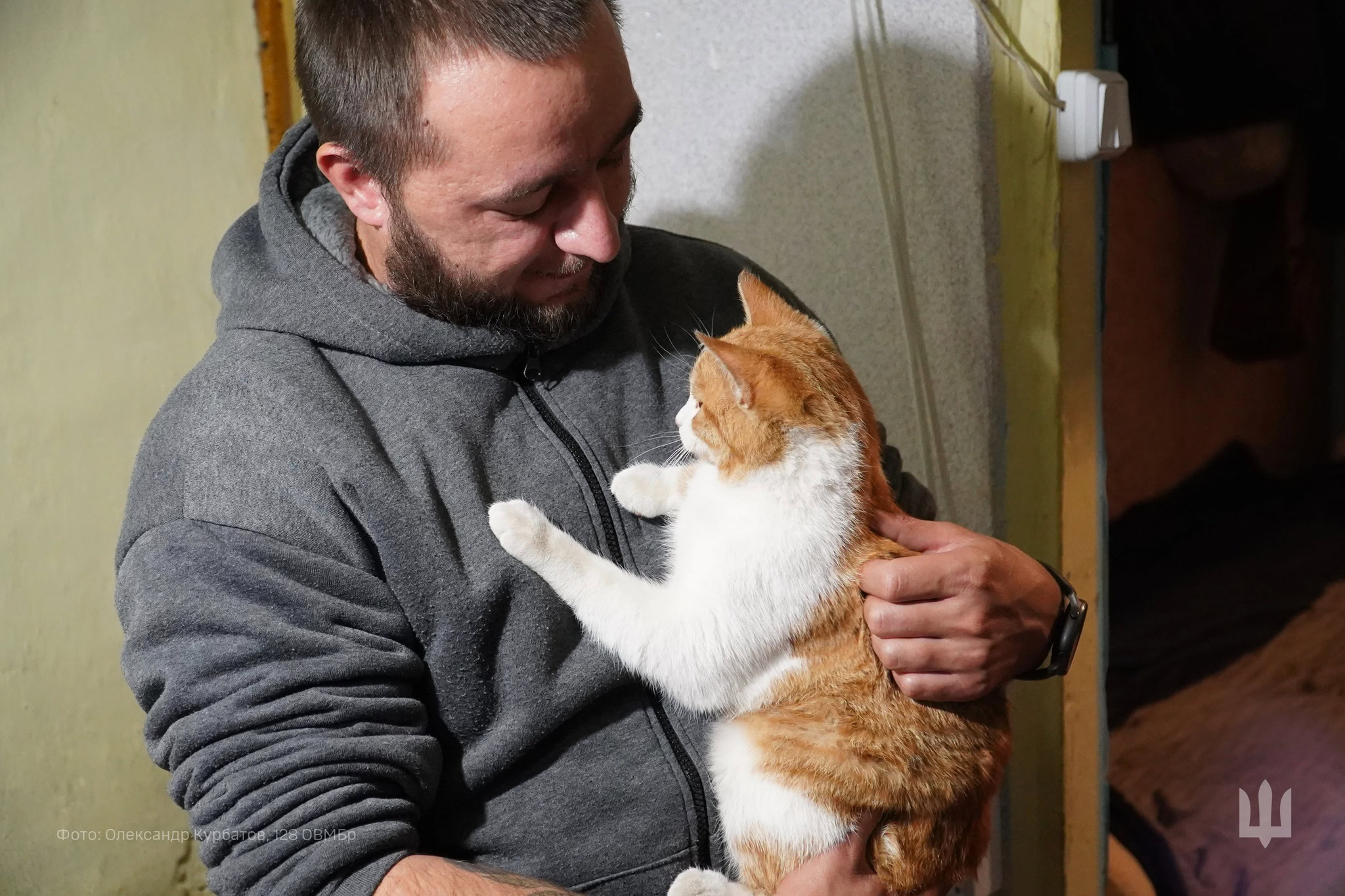 Кіт Рикошет – талісман дніпровської бригади «Дике Поле»: історія фронтового улюбленця