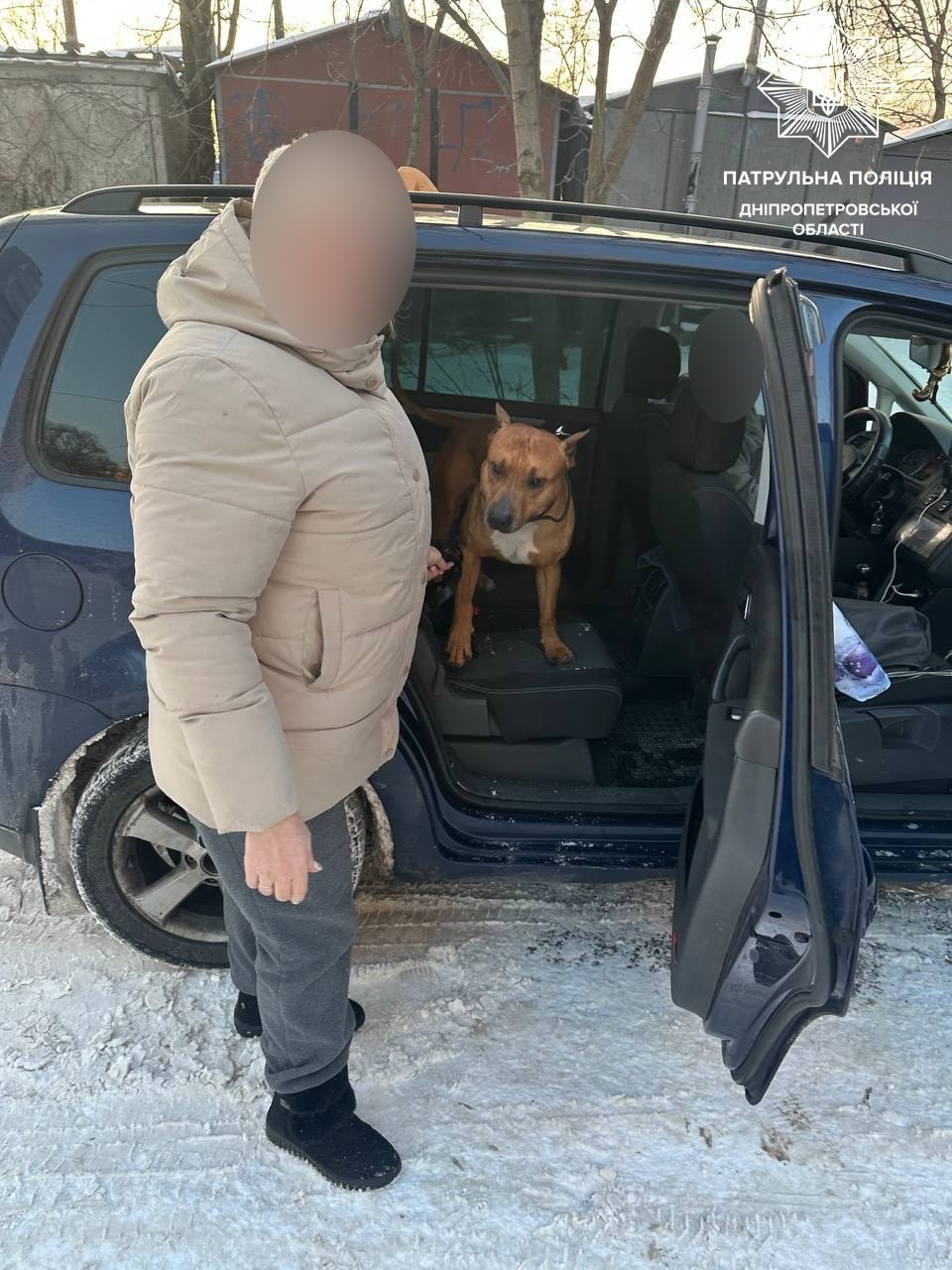 Загубилась та тремтіла від холоду: патрульні Дніпра повернули собаку власниці