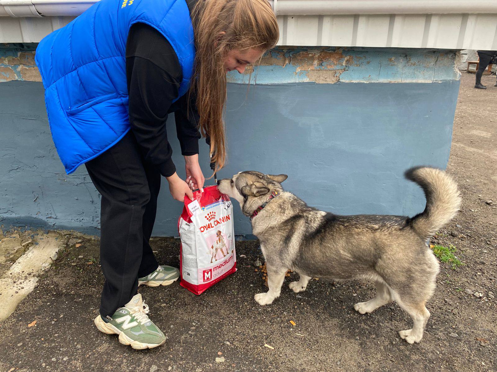 «Я хоча б буду не один»: як люди покидають свої домівки, але з собою рятують тварин