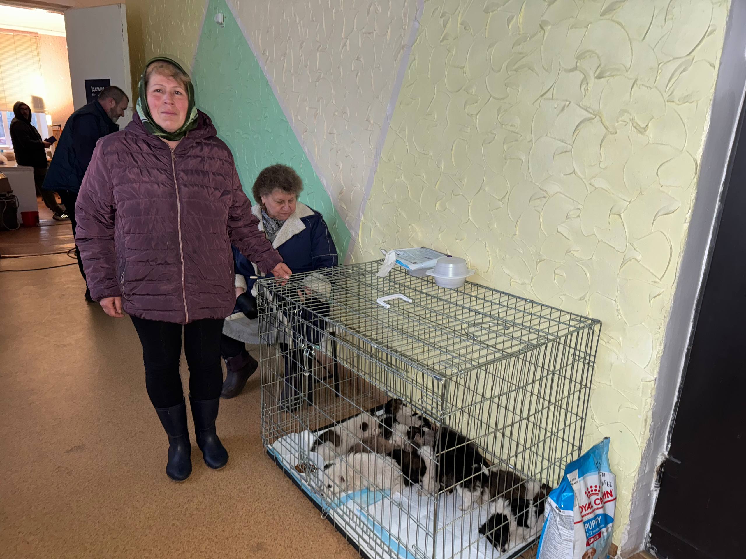 «Я хоча б буду не один»: як люди покидають свої домівки, але з собою рятують тварин