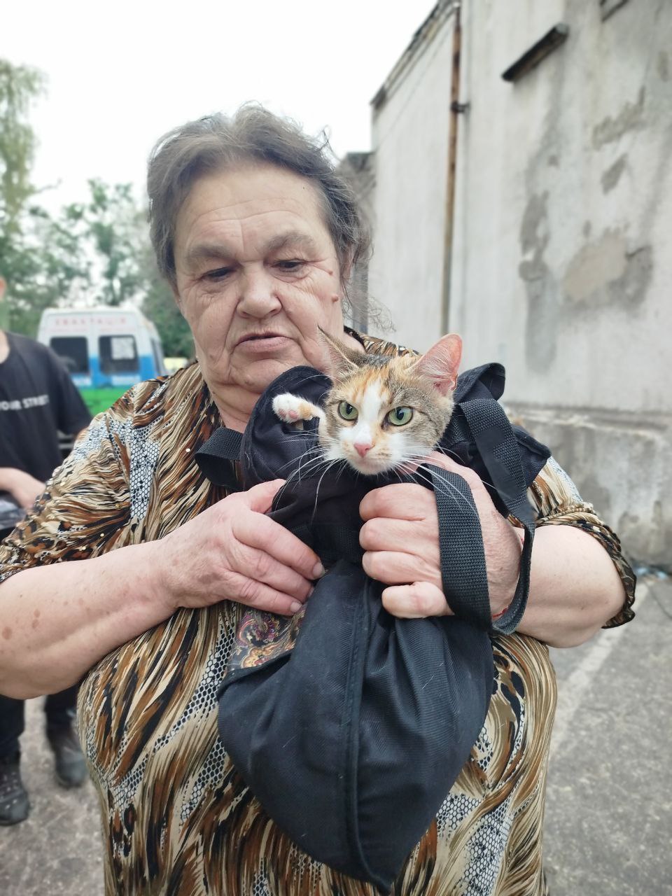 «Я хоча б буду не один»: як люди покидають свої домівки, але з собою рятують тварин