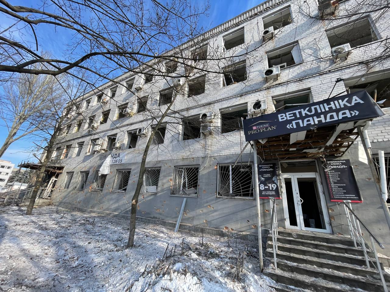 У Дніпрі після другого обстрілу запрацювала ветклініка «Панда»: історія відродження