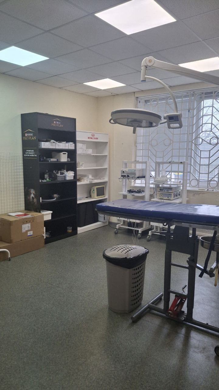 У Дніпрі після другого обстрілу запрацювала ветклініка «Панда»: історія відродження